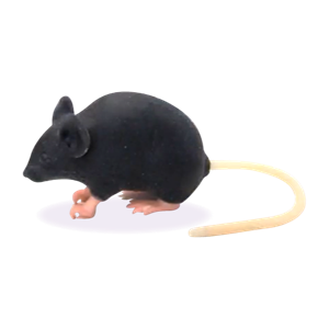 Mimicky Mouse